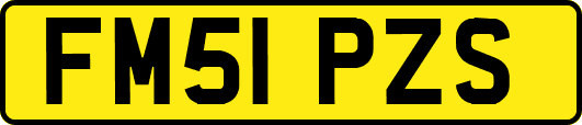 FM51PZS