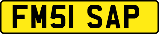 FM51SAP