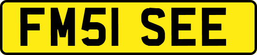 FM51SEE