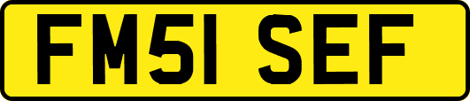 FM51SEF