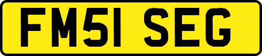 FM51SEG