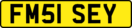 FM51SEY