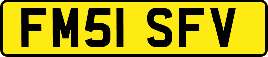 FM51SFV