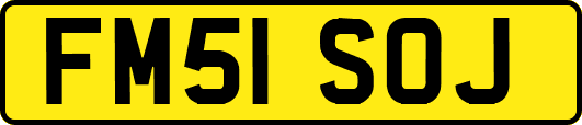 FM51SOJ