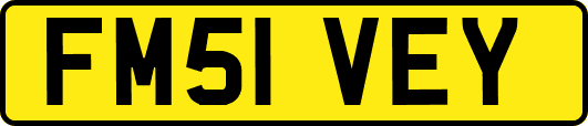 FM51VEY
