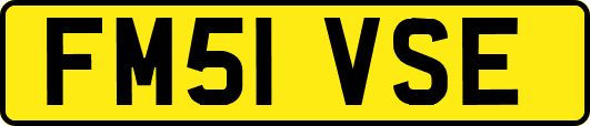 FM51VSE