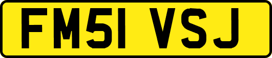 FM51VSJ
