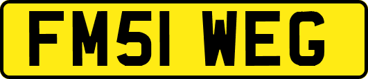 FM51WEG