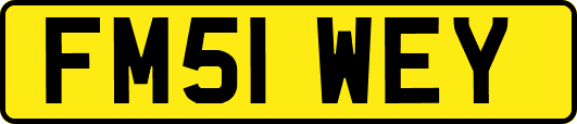 FM51WEY