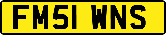 FM51WNS
