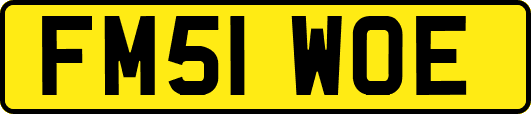 FM51WOE