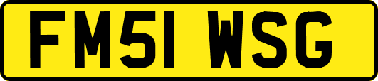 FM51WSG
