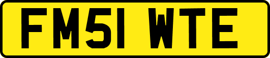 FM51WTE