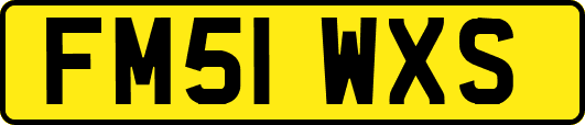 FM51WXS