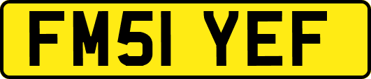 FM51YEF