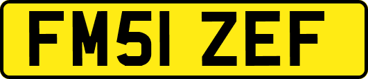 FM51ZEF