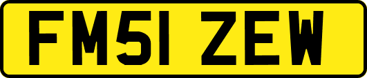 FM51ZEW
