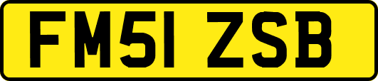 FM51ZSB