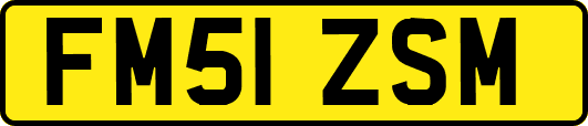 FM51ZSM
