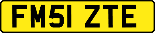 FM51ZTE