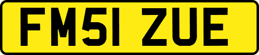 FM51ZUE