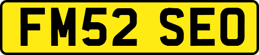 FM52SEO