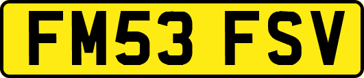 FM53FSV