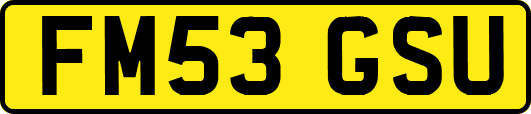 FM53GSU