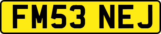 FM53NEJ