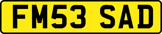 FM53SAD