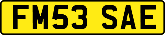 FM53SAE
