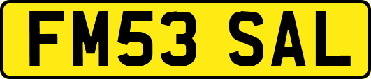 FM53SAL