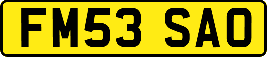 FM53SAO