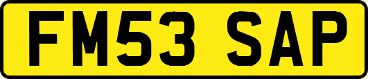 FM53SAP