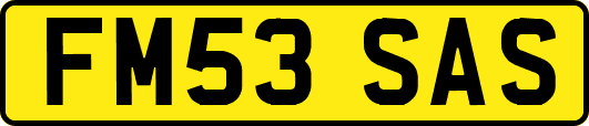 FM53SAS