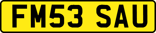 FM53SAU