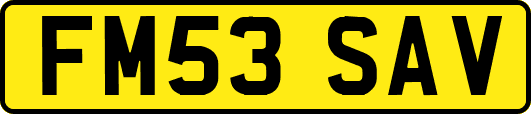 FM53SAV