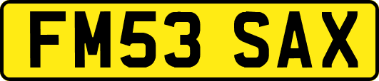 FM53SAX