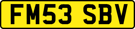 FM53SBV