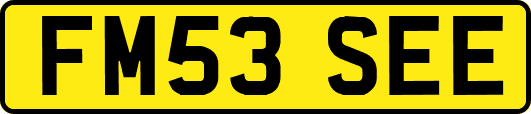 FM53SEE