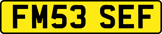 FM53SEF