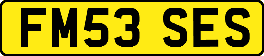 FM53SES