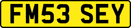 FM53SEY