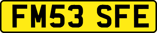 FM53SFE