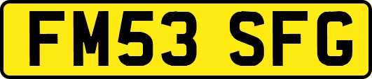 FM53SFG