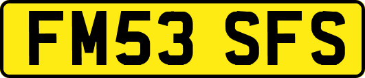 FM53SFS