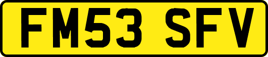 FM53SFV