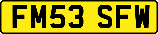 FM53SFW