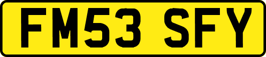FM53SFY