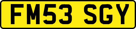 FM53SGY
